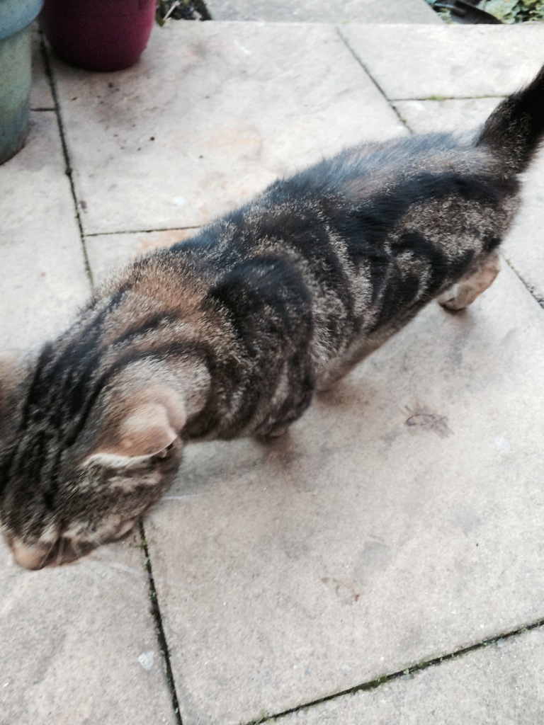 Foto 02-09-2014 17 27 05