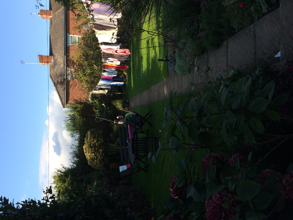 Foto 02-09-2014 17 28 11