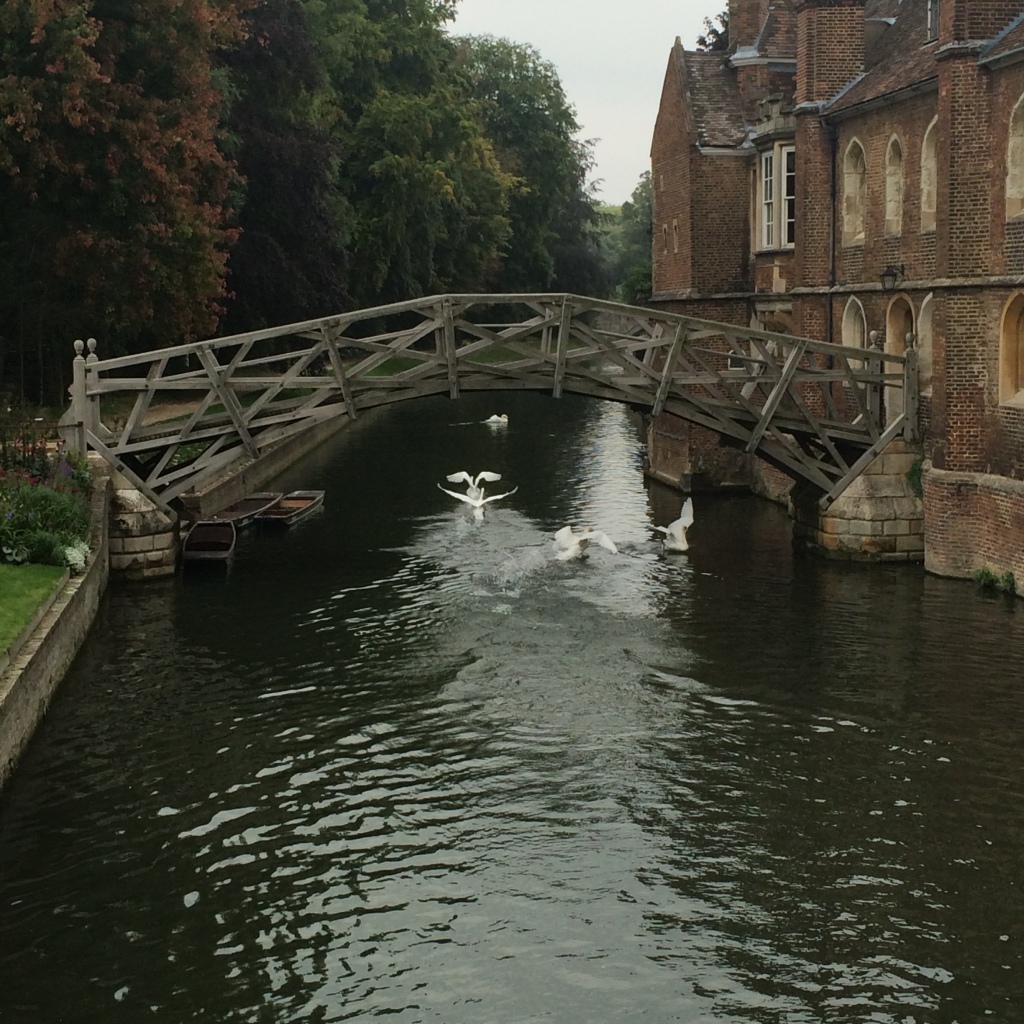 Foto 05-09-2014 10 52 29