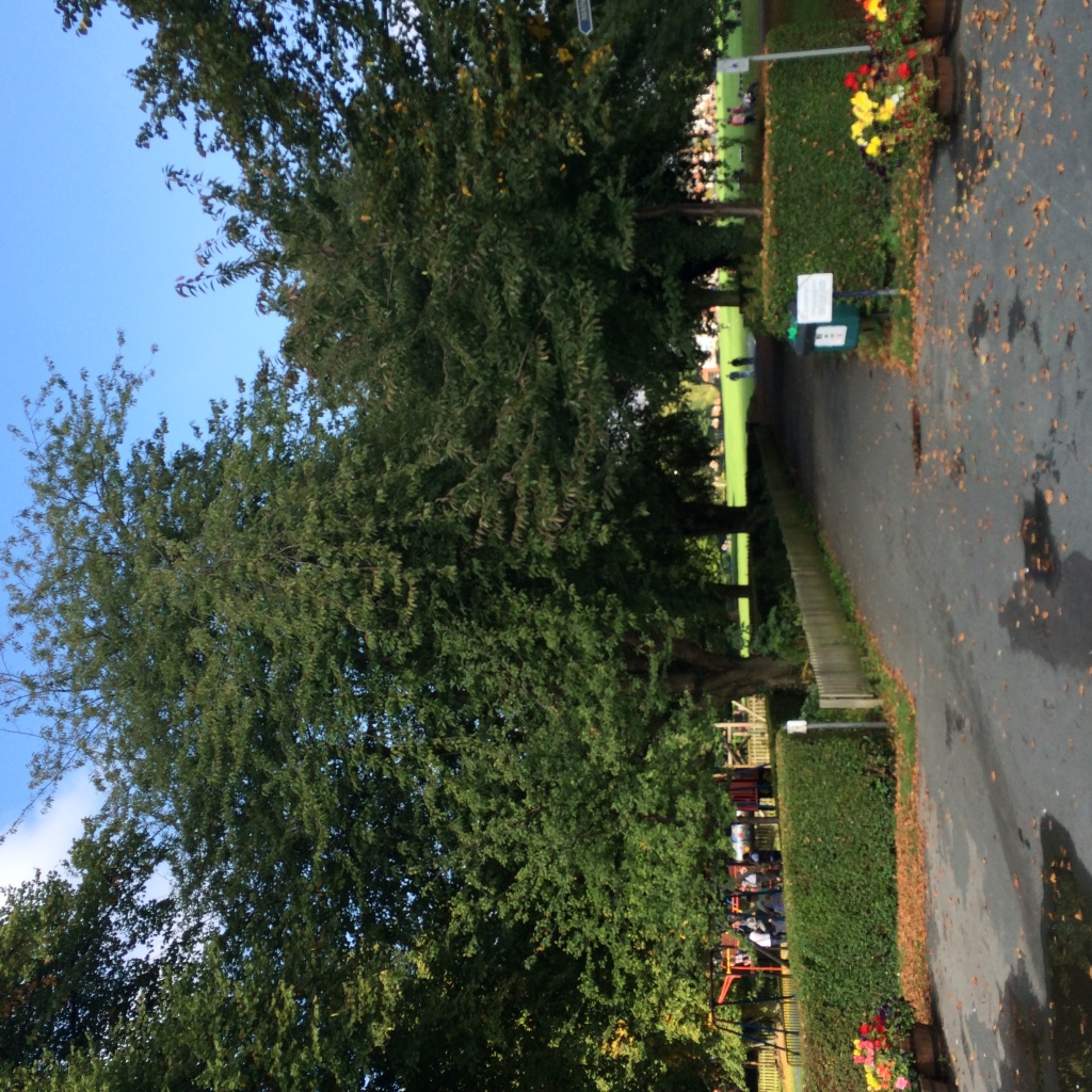 Foto 07-09-2014 11 26 28