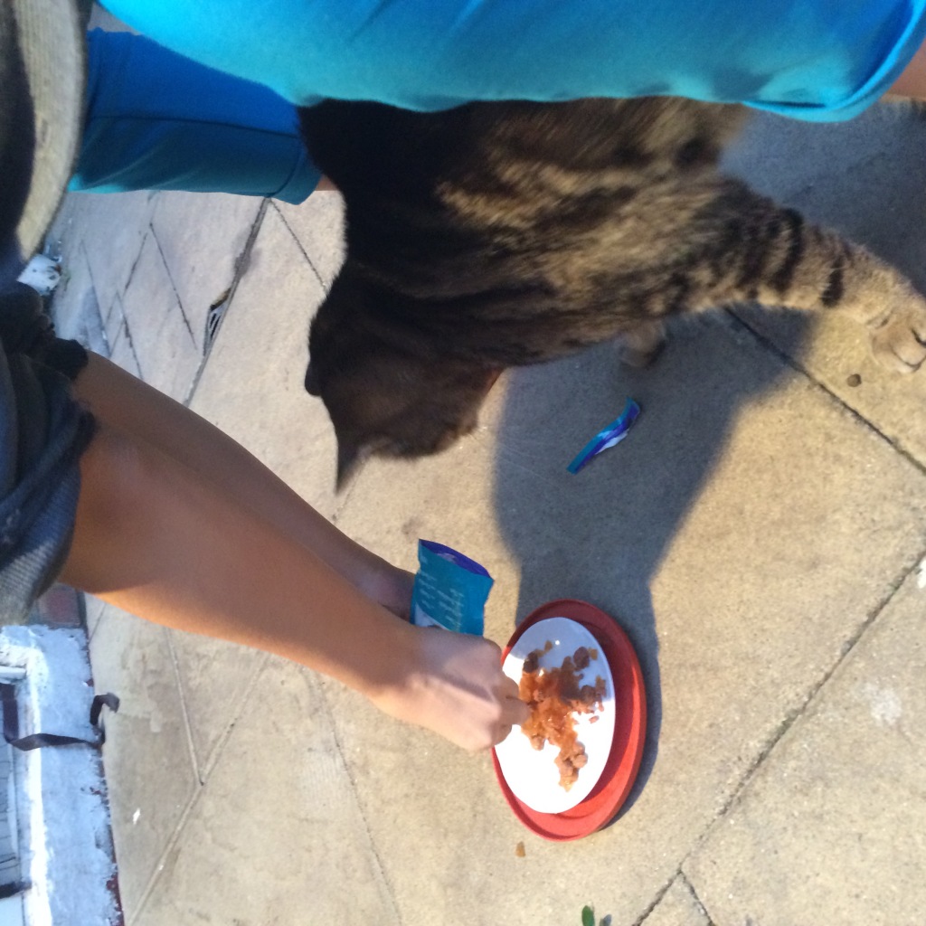 Photo 01-10-2014 18 33 16