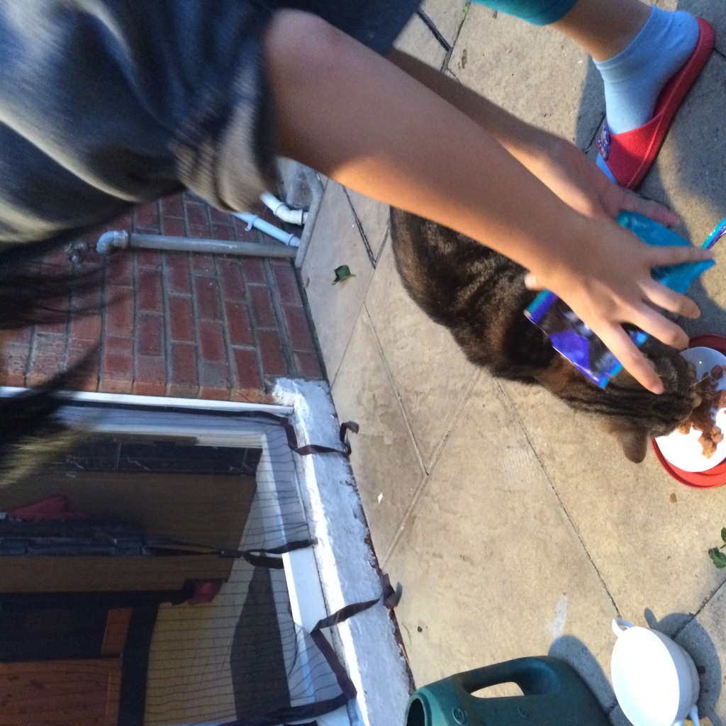 Photo 01-10-2014 18 33 20