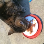 Photo 01-10-2014 18 33 31