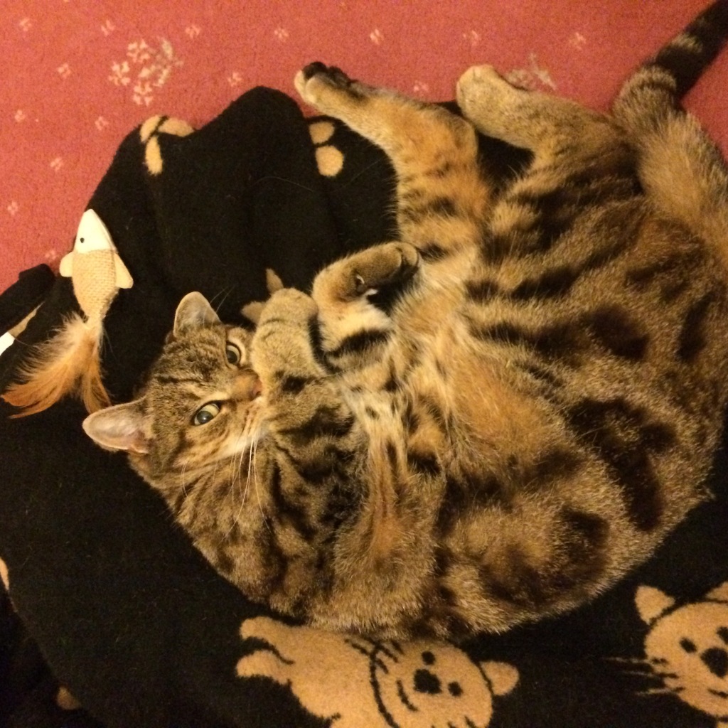 Photo 01-10-2014 20 19 14