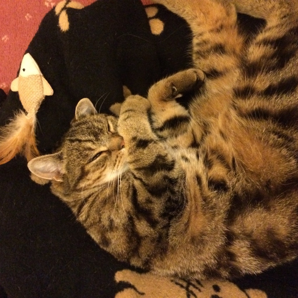 Photo 01-10-2014 20 19 17