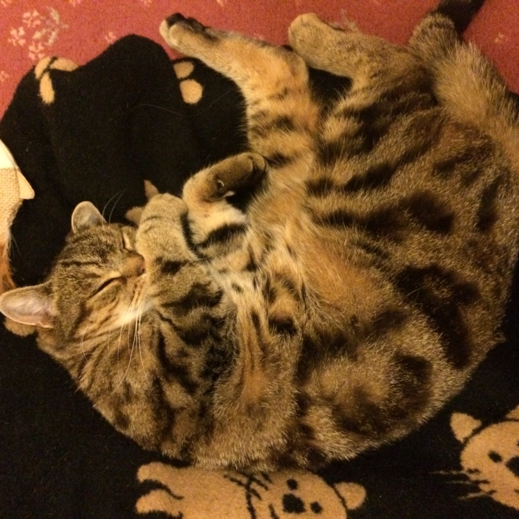 Photo 01-10-2014 20 19 21