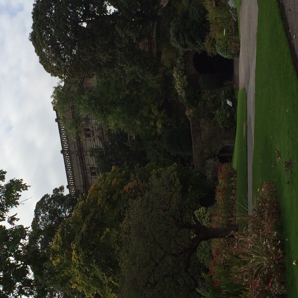 Photo 28-09-2014 11 00 10