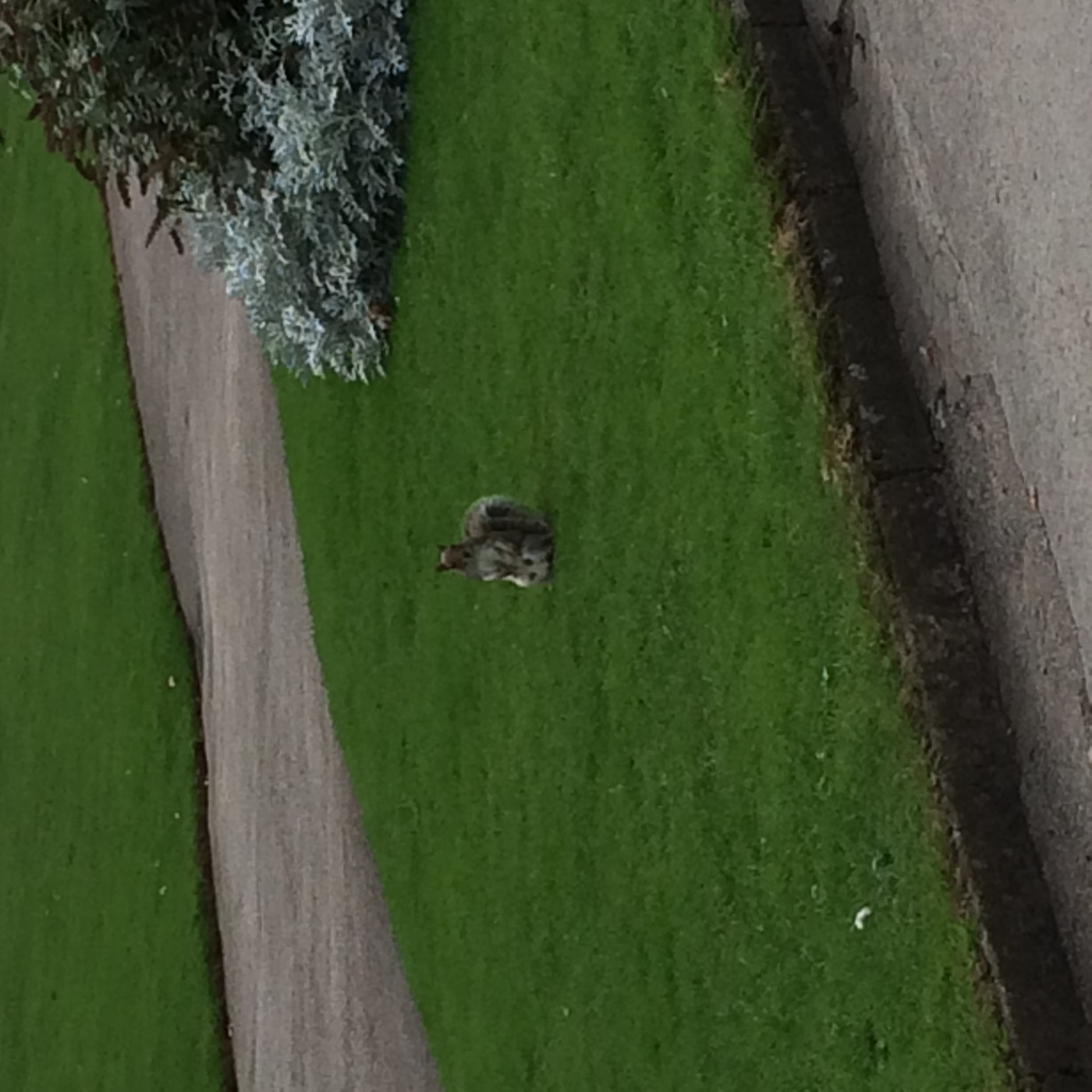 Photo 28-09-2014 11 05 32