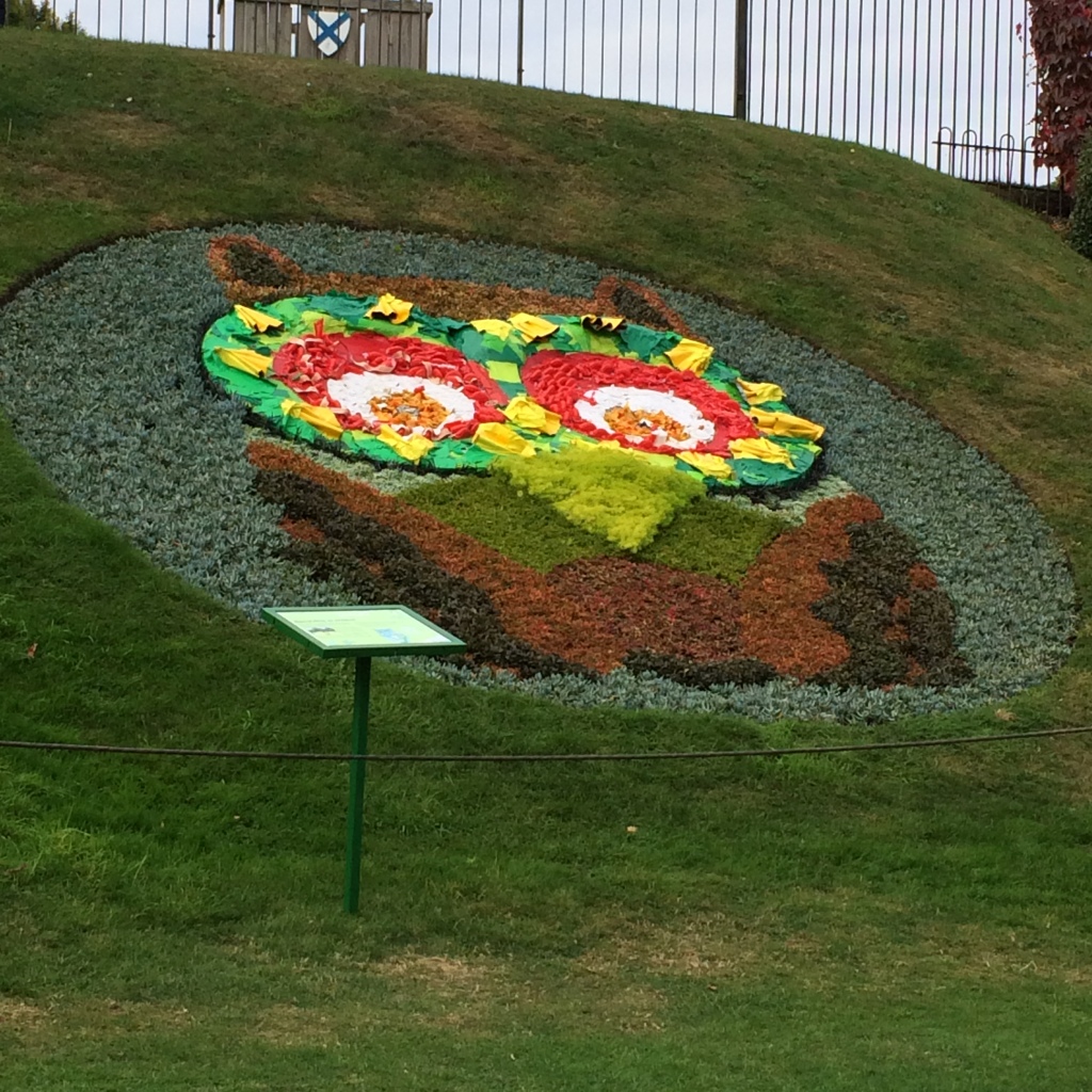 Photo 28-09-2014 11 06 49