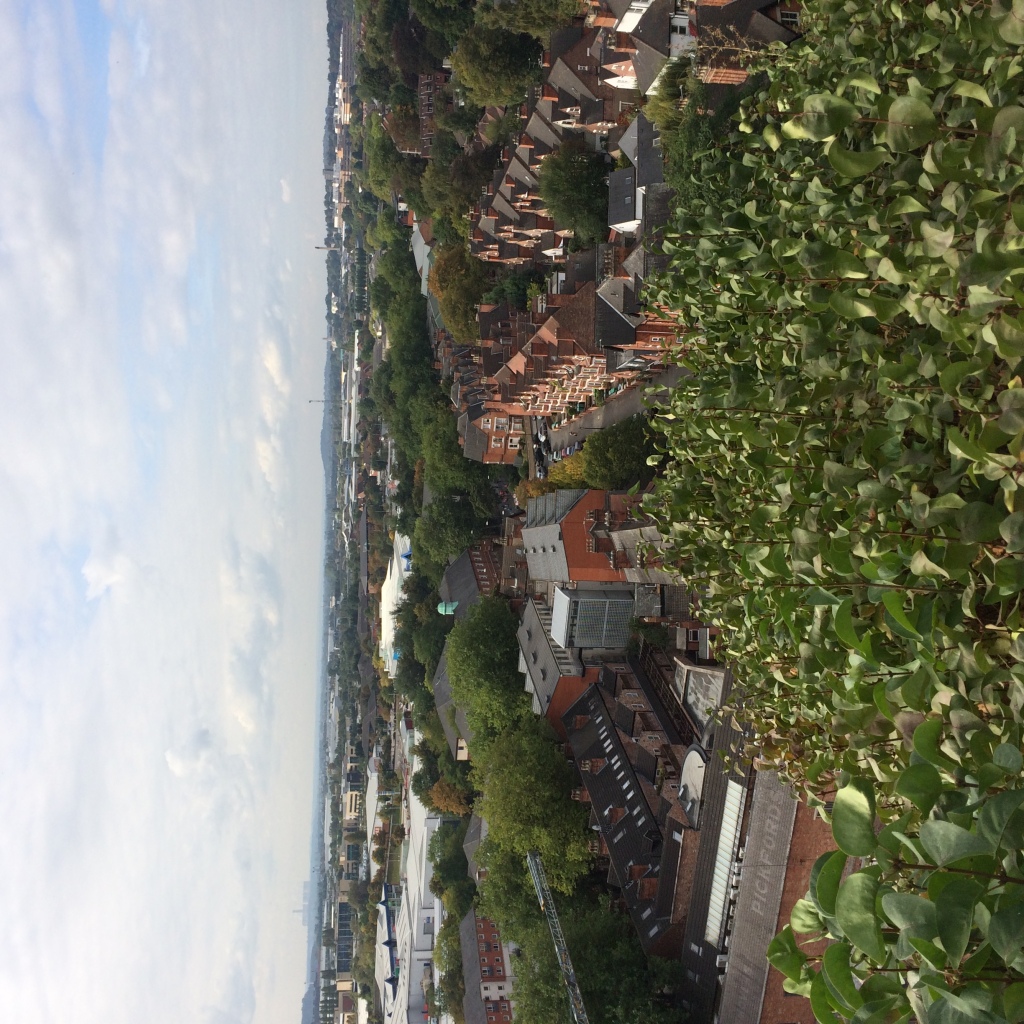 Photo 28-09-2014 11 32 41