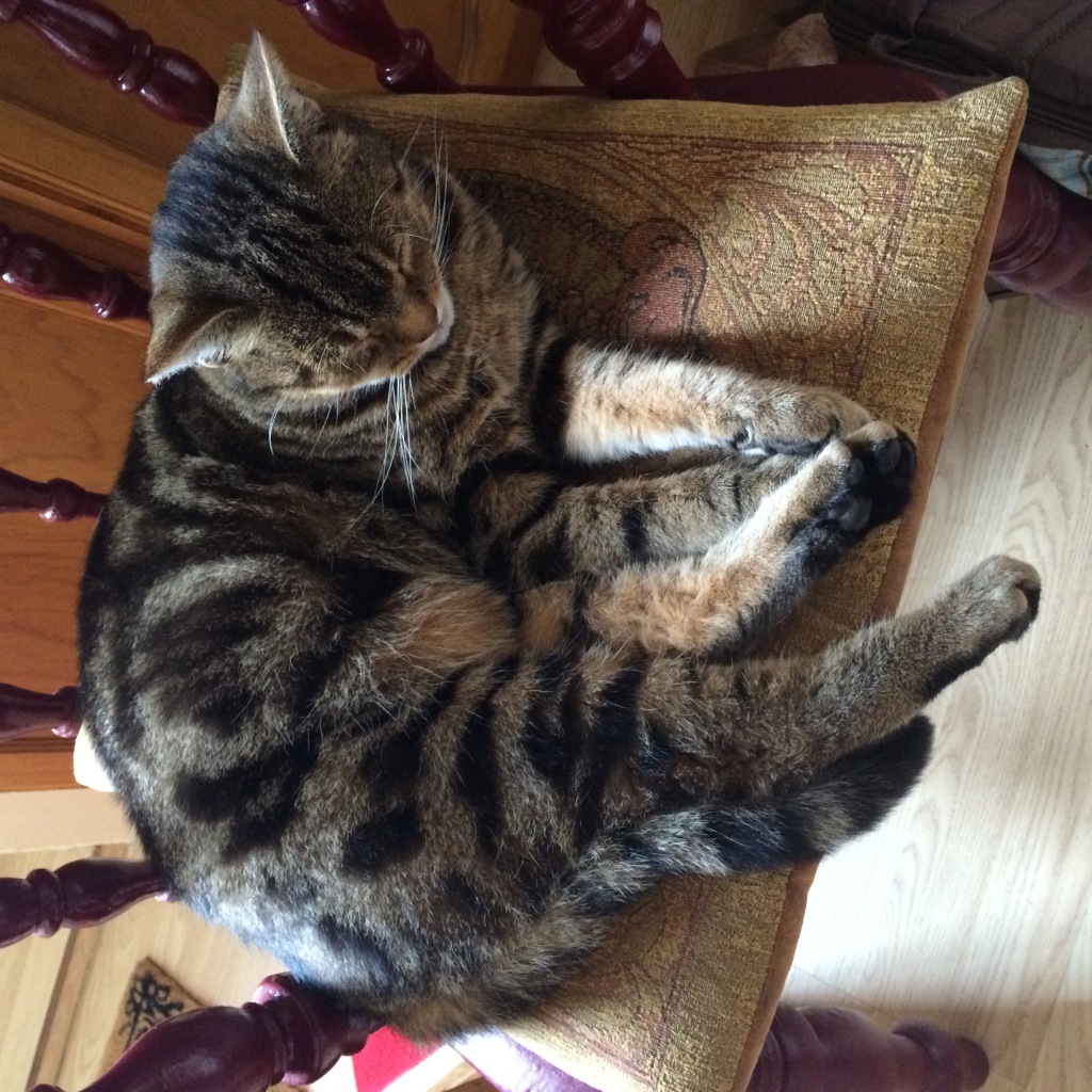 Photo 29-09-2014 12 57 58