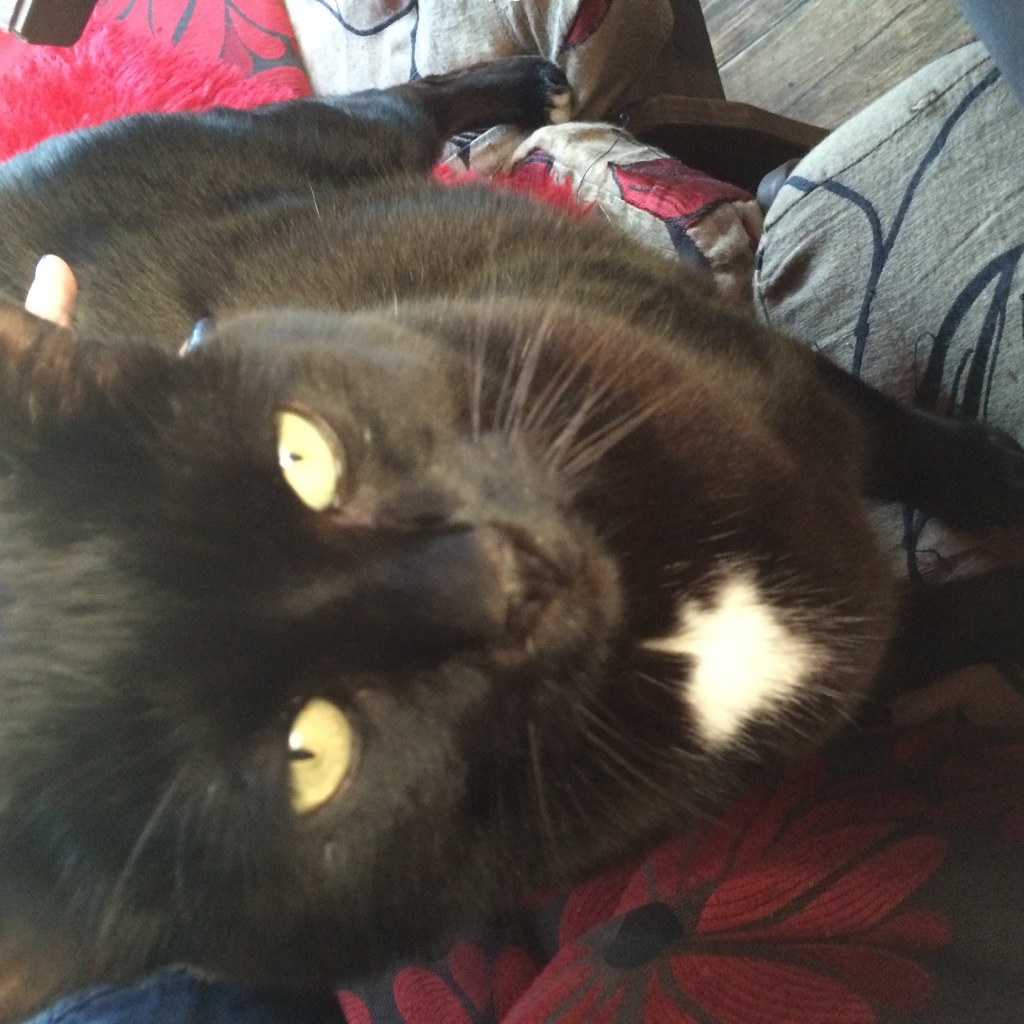 Photo 30-09-2014 17 21 46