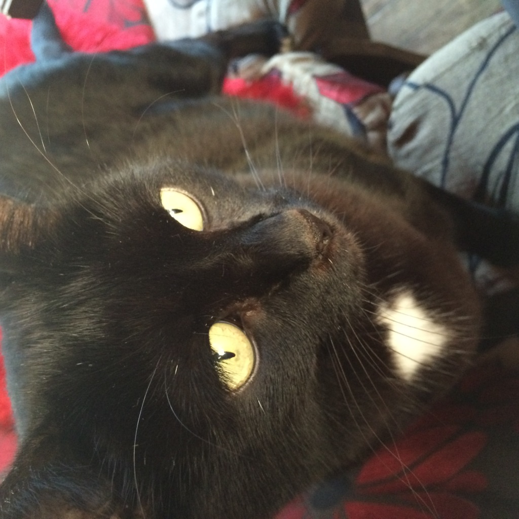 Photo 30-09-2014 17 21 49