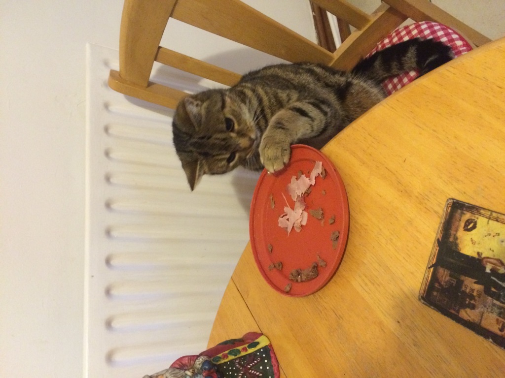 Photo 10-12-2014 08 01 23