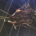 Photo 12-02-15 13 58 24