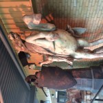 Photo 12-02-15 14 18 54