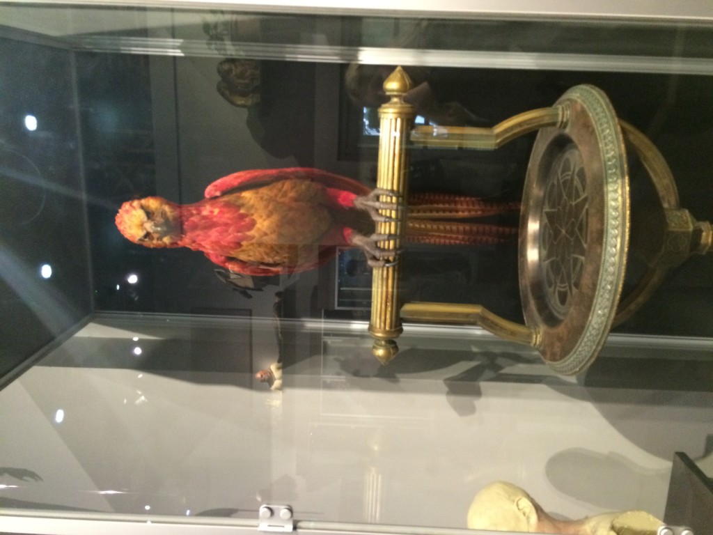 Photo 12-02-15 14 20 24