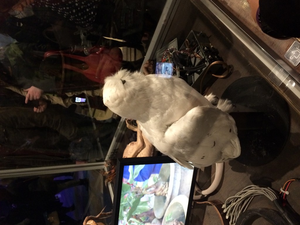 Photo 12-02-15 14 21 23