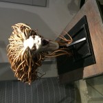 Photo 12-02-15 14 21 31