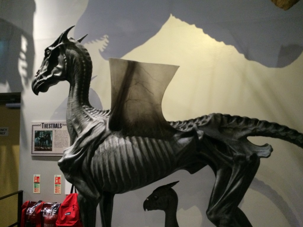 Photo 12-02-15 14 22 25