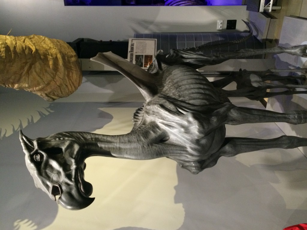 Photo 12-02-15 14 22 51