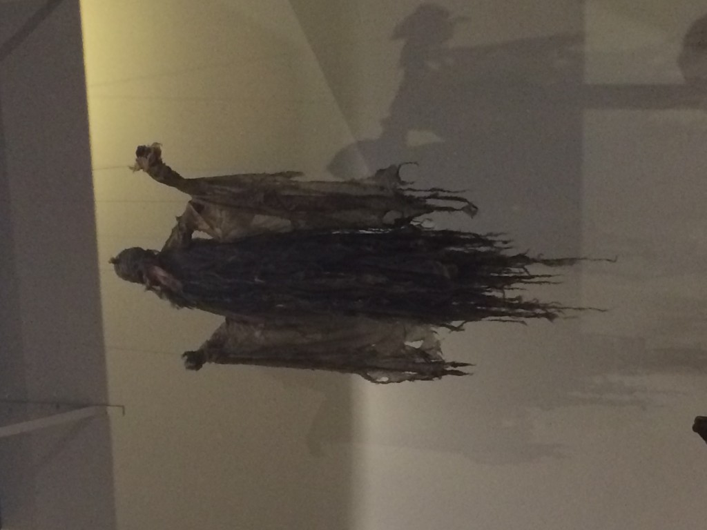 Photo 12-02-15 14 25 07