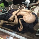 Photo 12-02-15 14 25 24