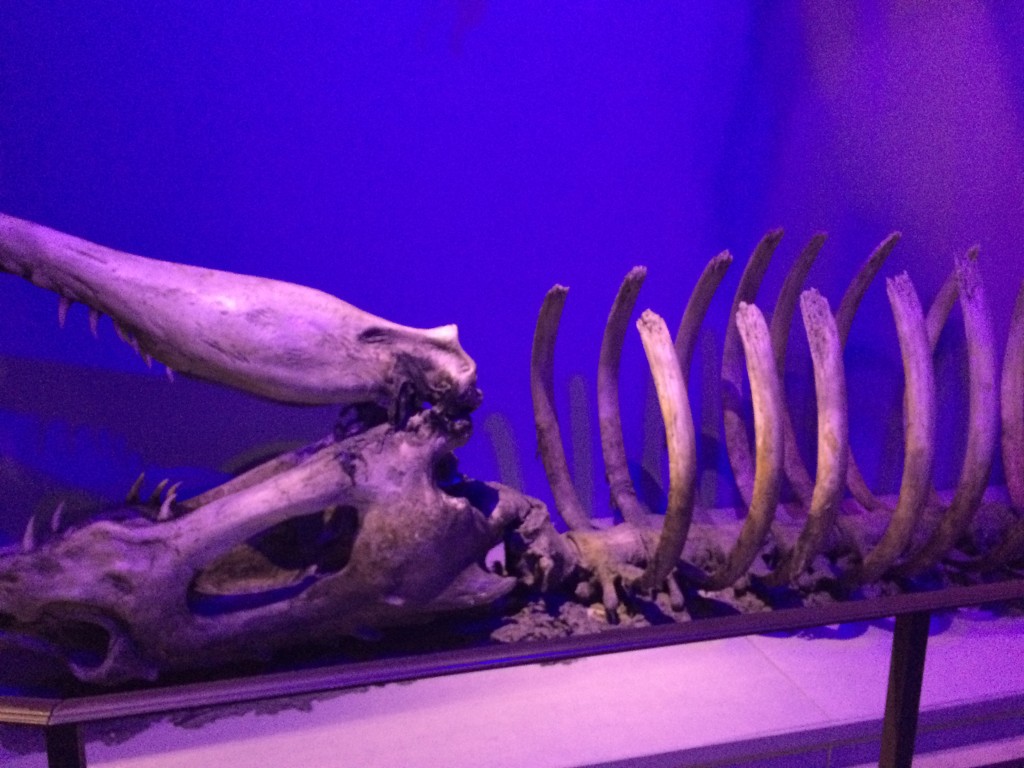 Photo 12-02-15 14 27 59