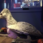 Photo 12-02-15 14 28 14